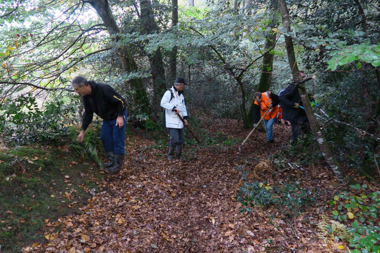 2017_10_08 Entretient circuit VTT et pose passerelles-13