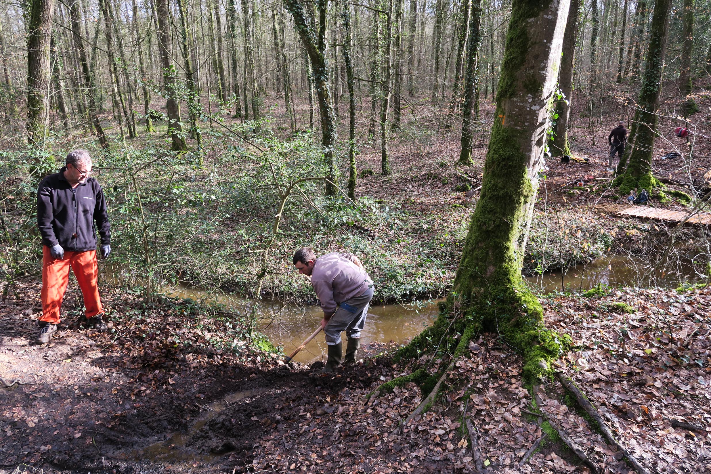 2018-03-10 Fabrication passerelle forêt Rennes-15