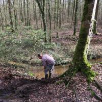 2018-03-10 Fabrication passerelle forêt Rennes-15