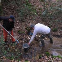 2018-03-10 Fabrication passerelle forêt Rennes-18