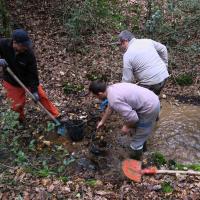 2018-03-10 Fabrication passerelle forêt Rennes-19