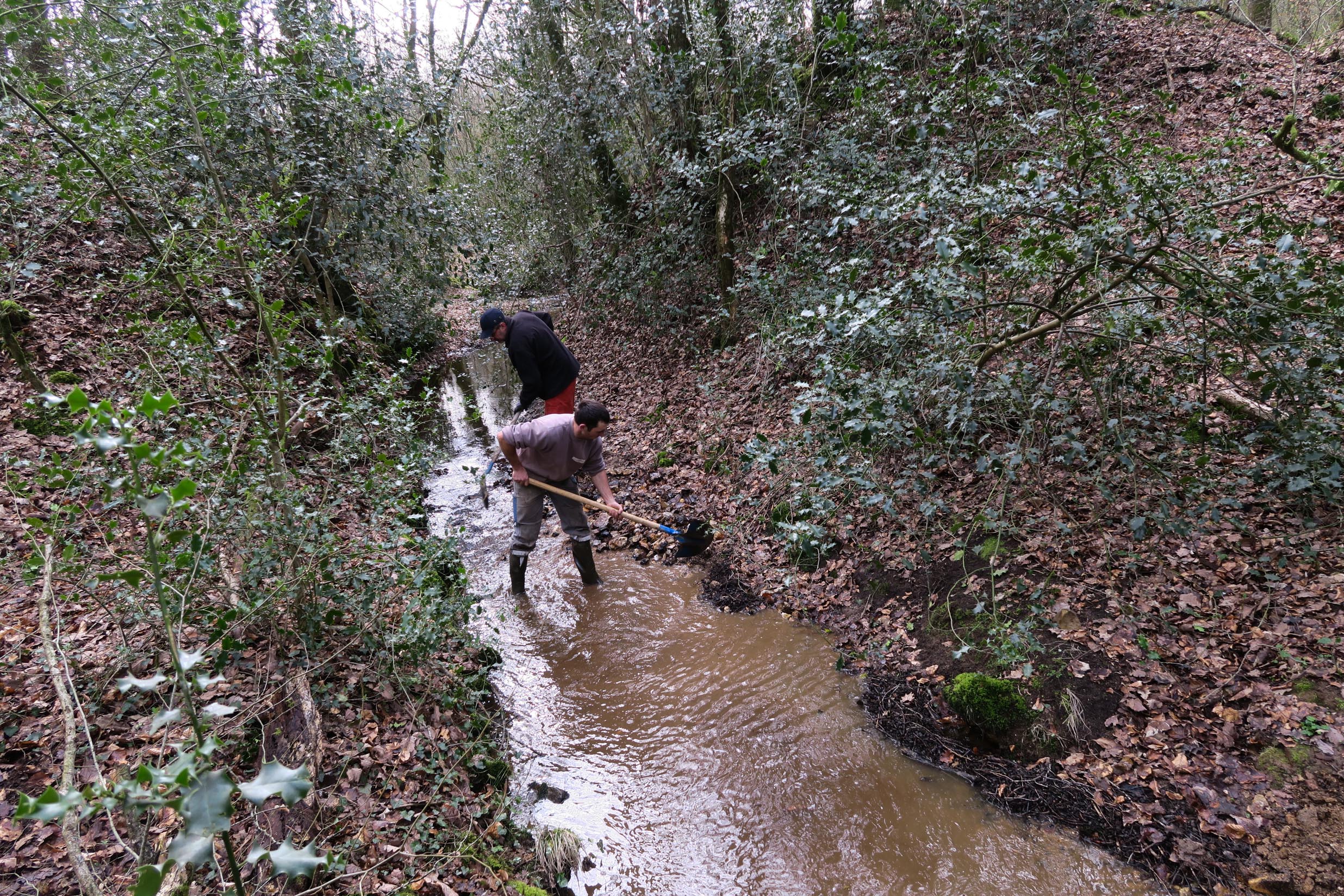 2018-03-10 Fabrication passerelle forêt Rennes-20