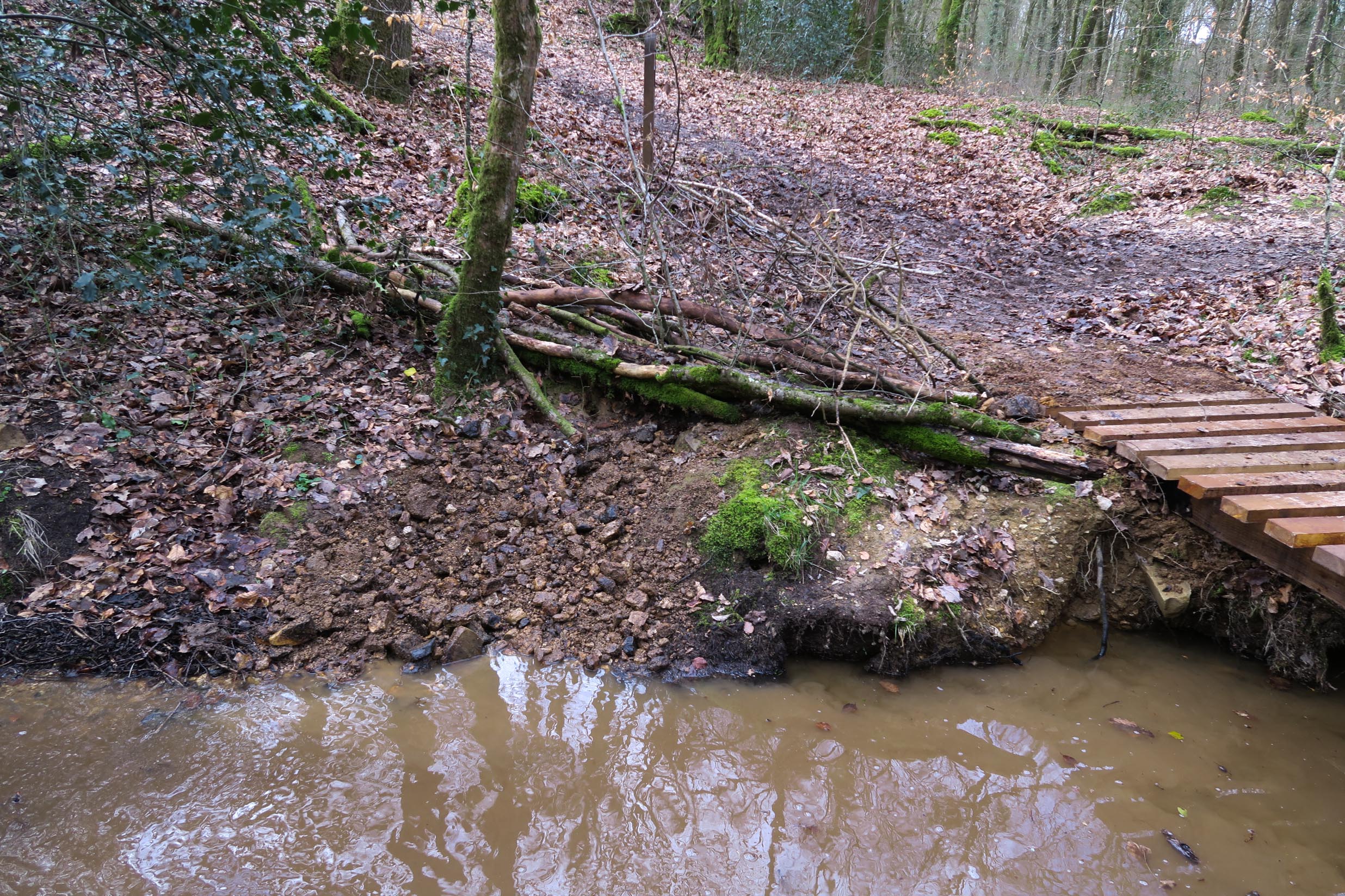 2018-03-10 Fabrication passerelle forêt Rennes-21