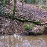 2018-03-10 Fabrication passerelle forêt Rennes-21