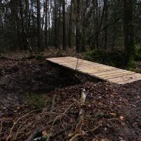 2018-03-10 Fabrication passerelle forêt Rennes 26-12