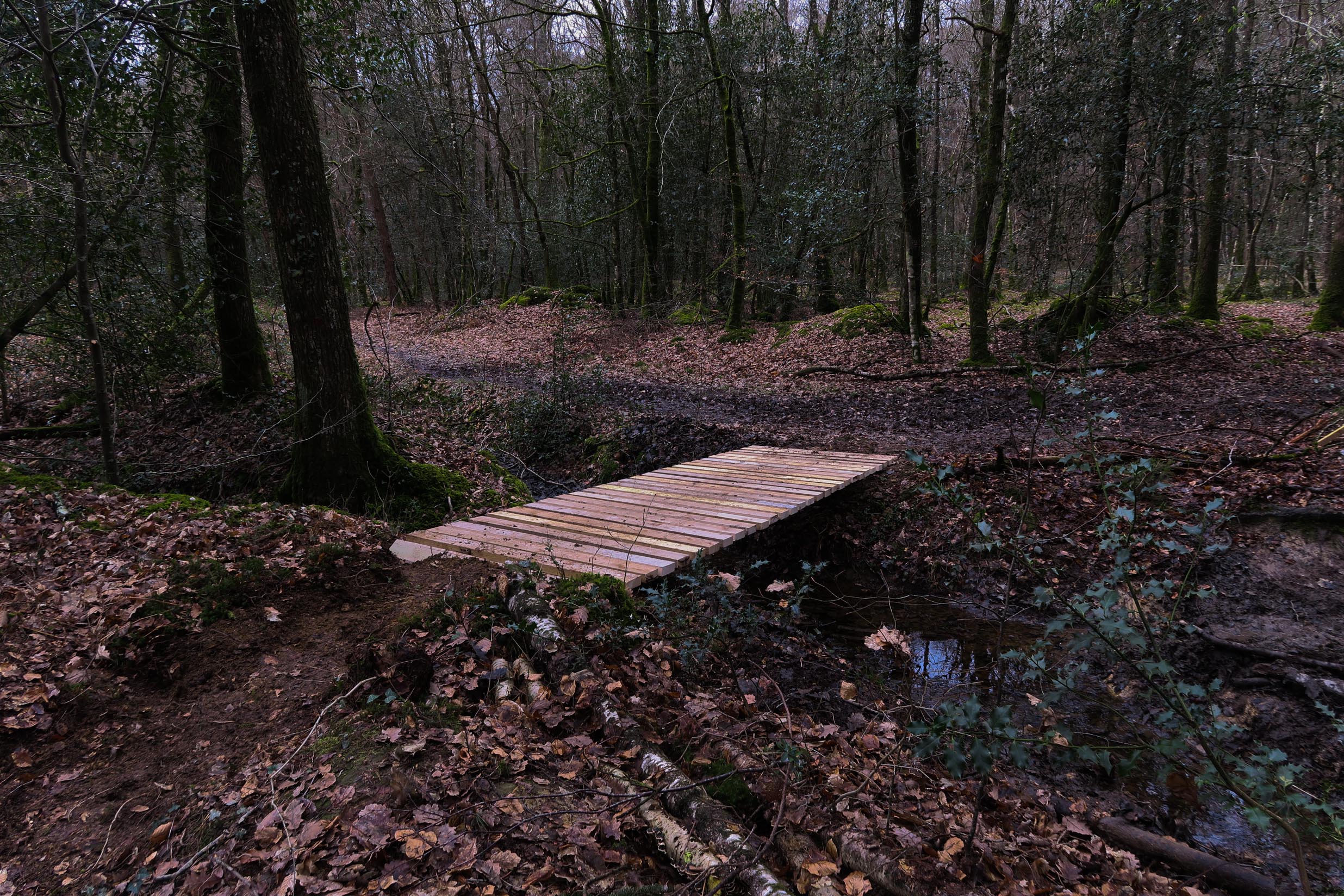 2018-03-10 Fabrication passerelle forêt Rennes 26-13