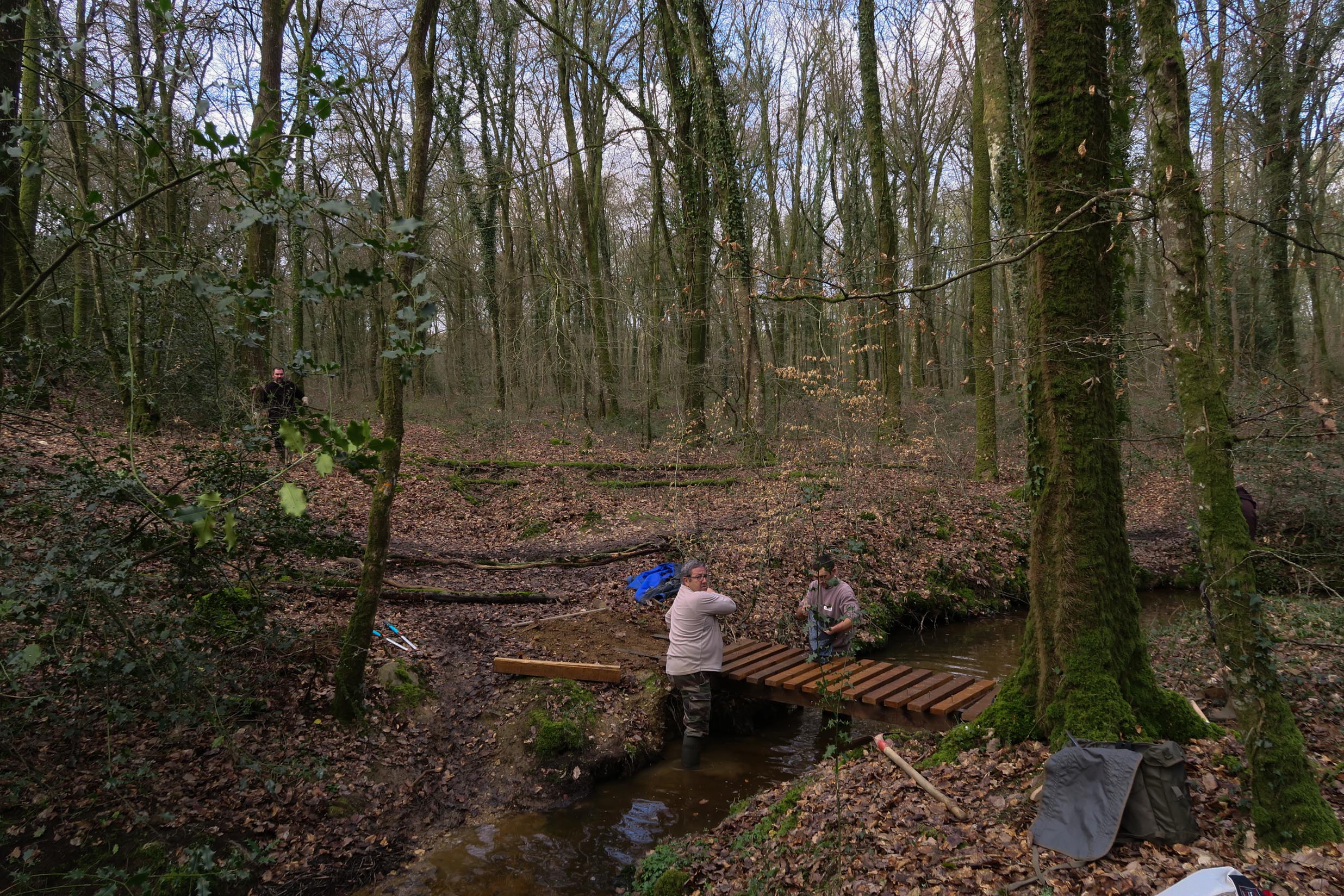 2018-03-10 Fabrication passerelle forêt Rennes-7