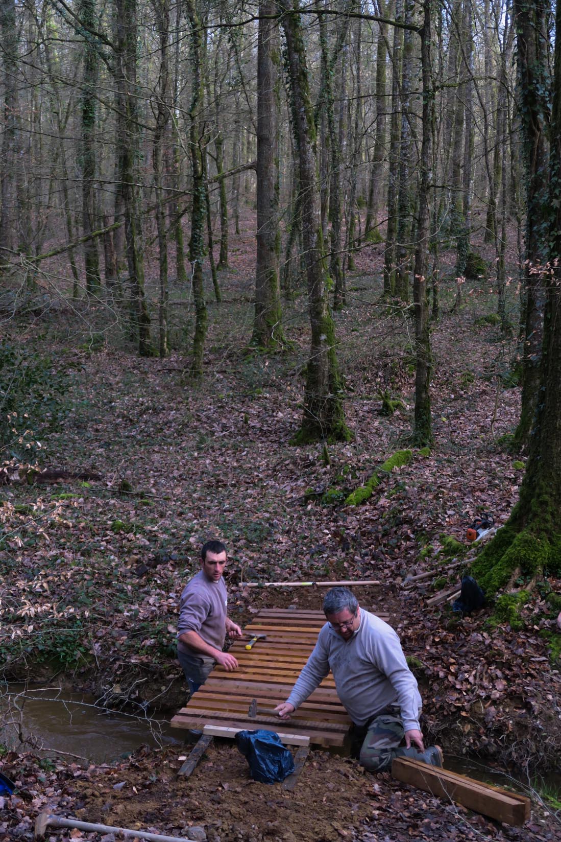 2018-03-10 Fabrication passerelle forêt Rennes-8