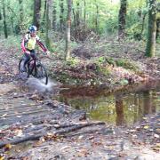2019-11-03- Sortie dominicale dans l'eau