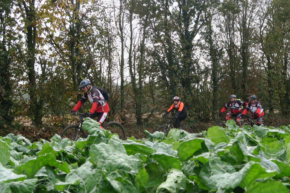 2019-11-17 Sortie VTT Marpiré-Vitré-Marpiré-11