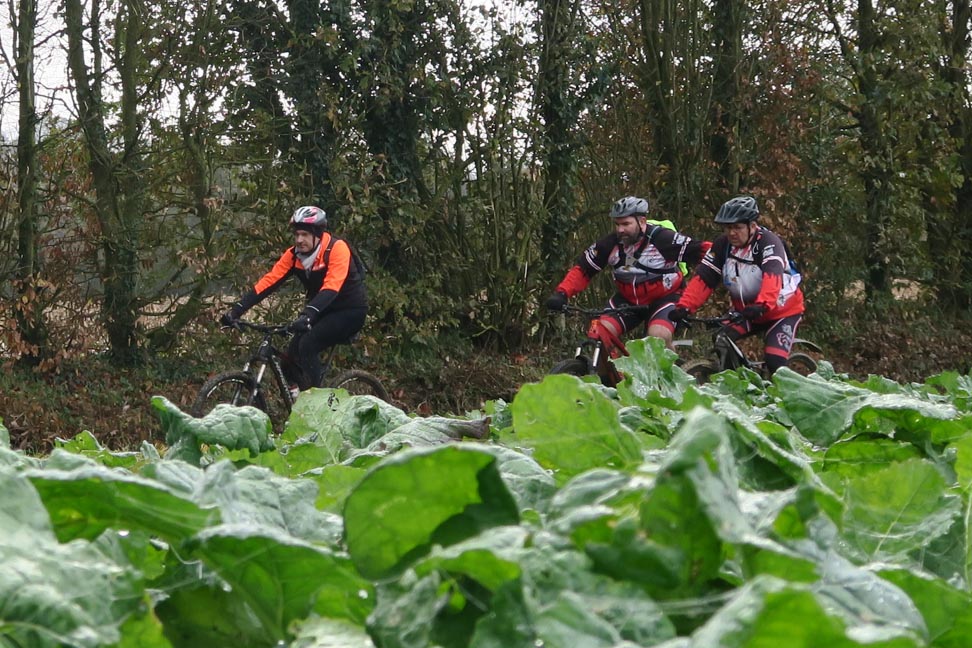 2019-11-17 Sortie VTT Marpiré-Vitré-Marpiré-12