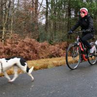 2019-12-01 Rando week-end famille et voisin-25