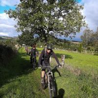 2020 10 10 262