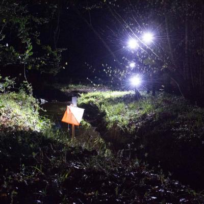 01 avril 2017 CO nocturne chez les bikers de la forêt