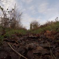 IMG_1702Web