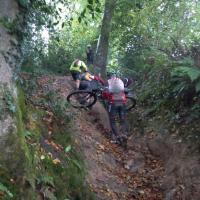 Img 20241012 wa0005