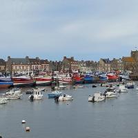 Img 20241013 wa0081