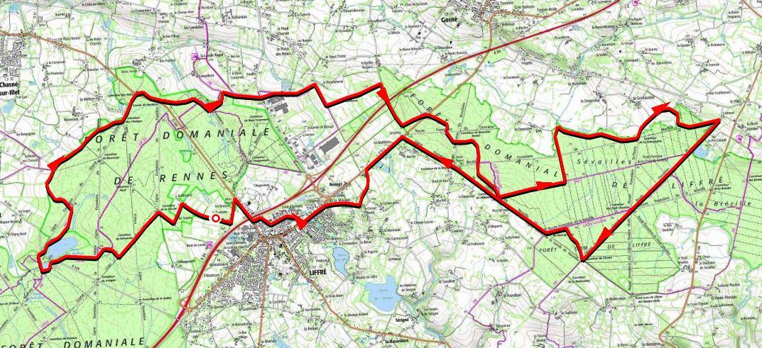 Les 2 forets 33km